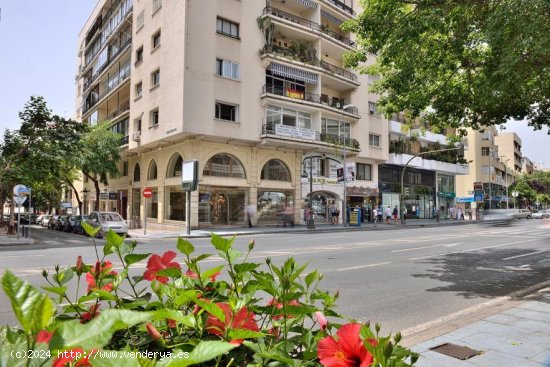  Local en venta en Marbella (Málaga) 