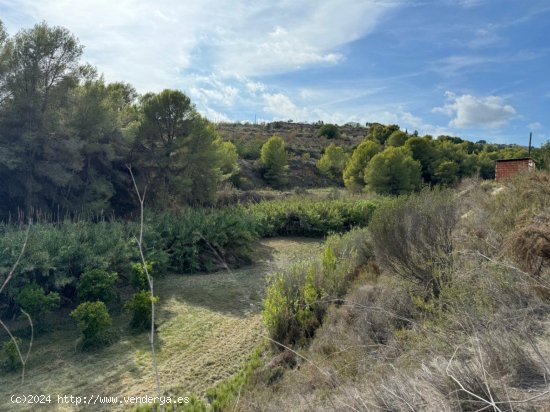 Finca en venta en Benissa (Alicante)