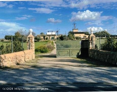  Finca en alquiler en Palma de Mallorca (Baleares) 