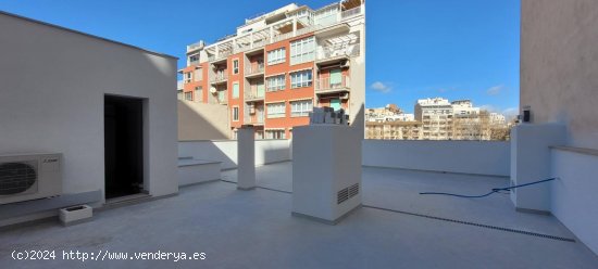  Apartamento en alquiler en Palma de Mallorca (Baleares) 