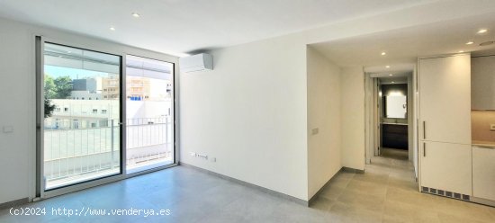 Apartamento en alquiler en Palma de Mallorca (Baleares)