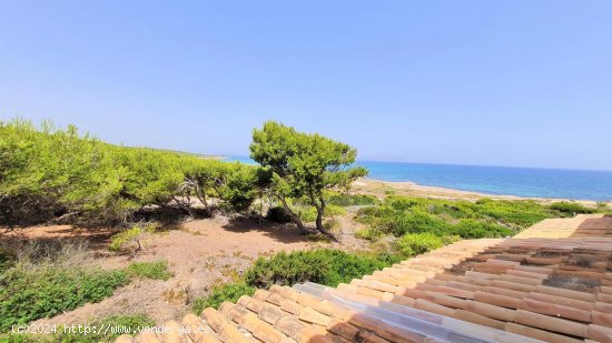  Villa en alquiler en Santa Margalida (Baleares) 