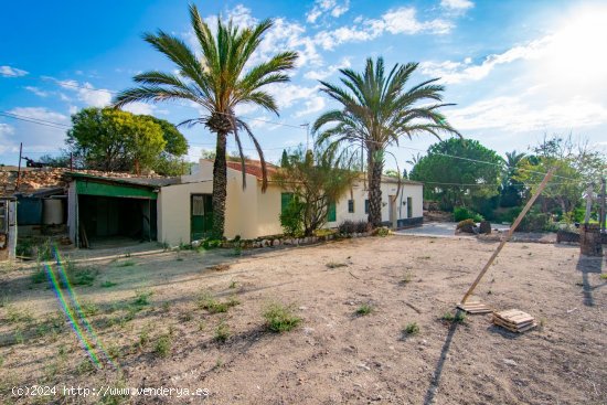  Villa en venta en Elche (Alicante) 