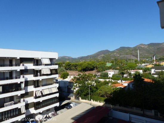 Piso en alquiler en Benicasim (Castellón)