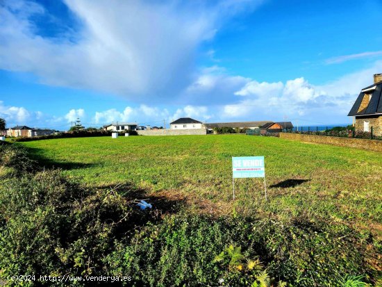 Parcela en venta en Coaña (Asturias)