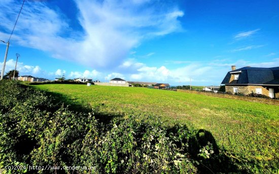 Parcela en venta en Coaña (Asturias)