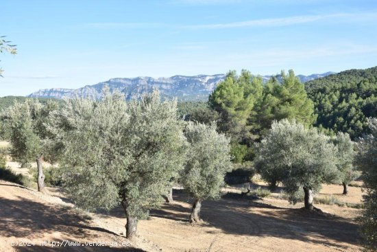 Finca en venta en Arens de Lledó (Teruel)