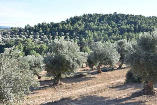 Finca en venta en Arens de Lledó (Teruel)