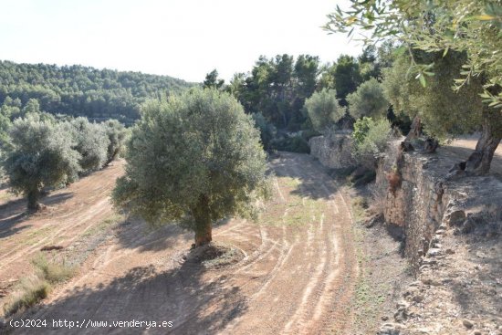 Finca en venta en Arens de Lledó (Teruel)