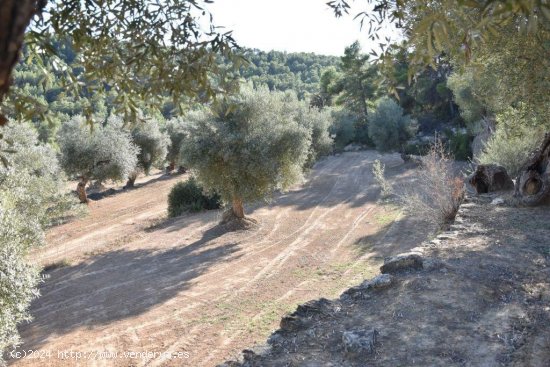 Finca en venta en Arens de Lledó (Teruel)