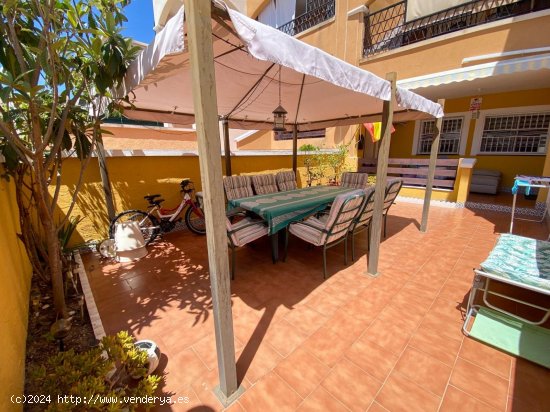  Bungalow en alquiler en Orihuela (Alicante) 