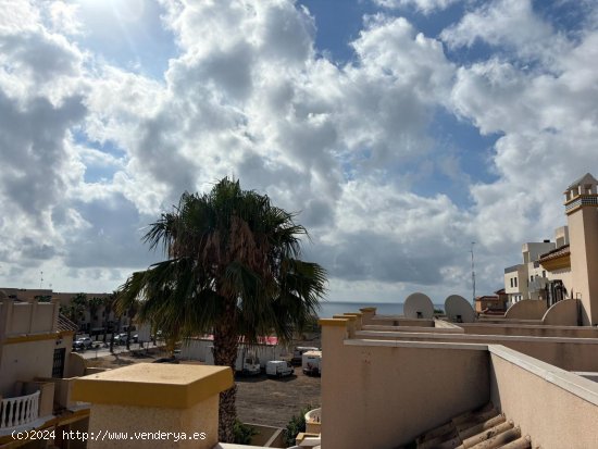 Casa en alquiler en Orihuela (Alicante)