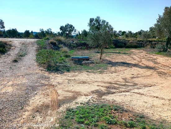 Finca en venta en Maella (Zaragoza)