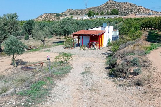 Finca en venta en Maella (Zaragoza)