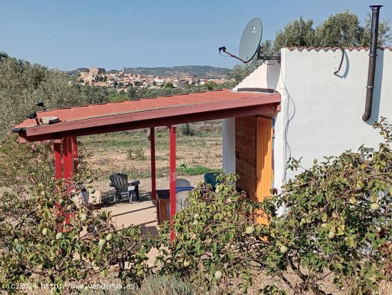 Finca en venta en Maella (Zaragoza)