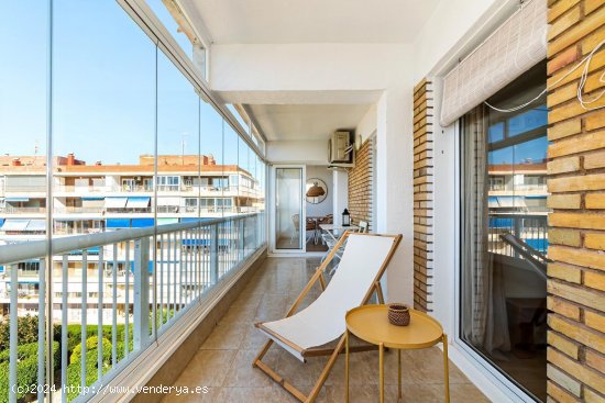  Apartamento en alquiler en Torrevieja (Alicante) 