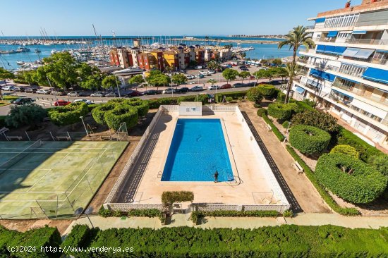 Apartamento en alquiler en Torrevieja (Alicante)