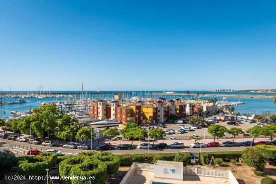 Apartamento en alquiler en Torrevieja (Alicante)