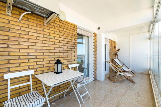 Apartamento en alquiler en Torrevieja (Alicante)