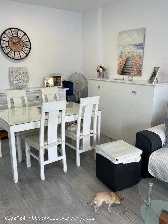 Apartamento en alquiler en Torrox (Málaga)