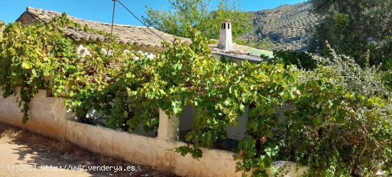  Finca en venta en Villacarrillo (Jaén) 