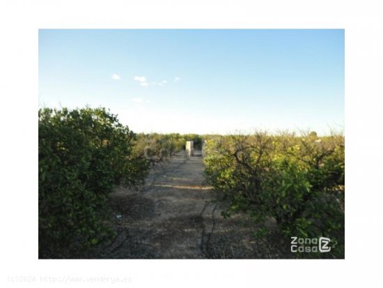 Finca en venta en Benimuslem (Valencia)