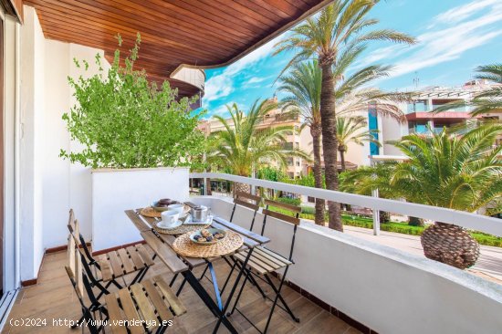  Apartamento en alquiler en Alcúdia (Baleares) 