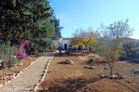 Villa en venta en Fuente Álamo de Murcia (Murcia)