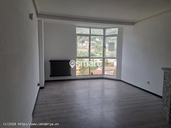 Piso en venta en Mieres (Asturias)