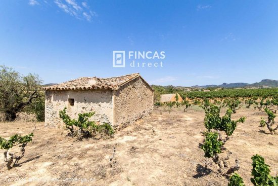  Finca en venta en Marçà (Tarragona) 