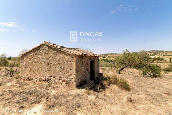 Finca en venta en Marçà (Tarragona)