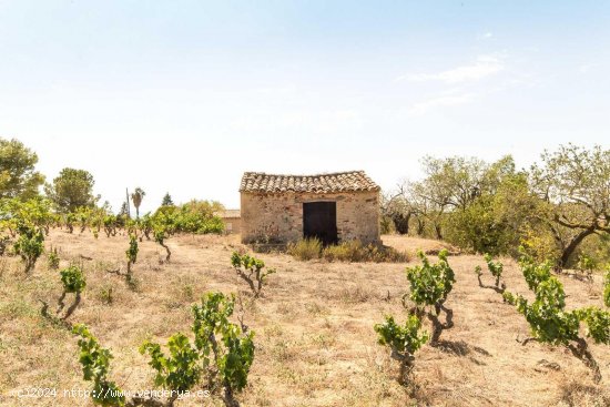 Finca en venta en Marçà (Tarragona)