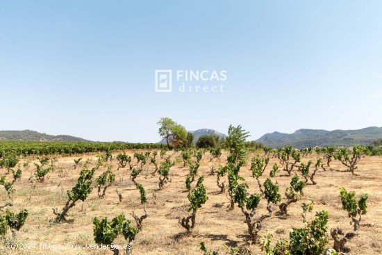 Finca en venta en Marçà (Tarragona)