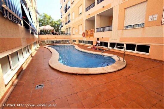  Apartamento en venta en Guardamar del Segura (Alicante) 