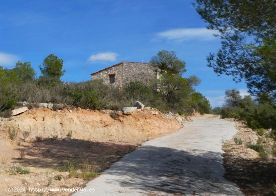 Finca en venta en Nonaspe (Zaragoza)