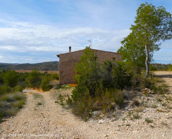 Finca en venta en Nonaspe (Zaragoza)