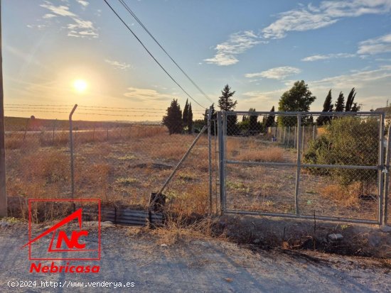 Parcela en venta en Las Cabezas de San Juan (Sevilla)