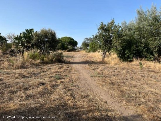  Solar en venta en Valencia de Alcántara (Cáceres) 