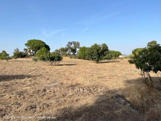 Solar en venta en Valencia de Alcántara (Cáceres)