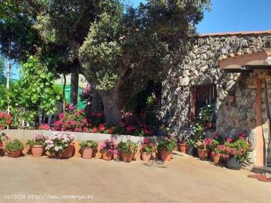  Finca en venta en Cabañas del Castillo (Cáceres) 