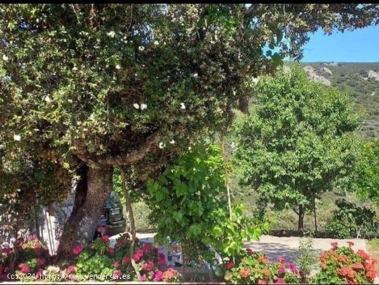 Finca en venta en Cabañas del Castillo (Cáceres)