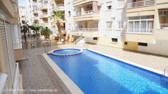 Apartamento en venta en Torrevieja (Alicante)