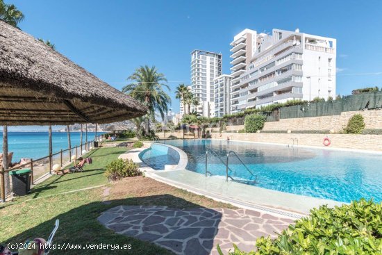 Apartamento en alquiler en Calpe (Alicante)