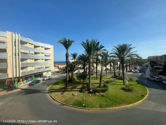 Apartamento en venta en Guardamar del Segura (Alicante)