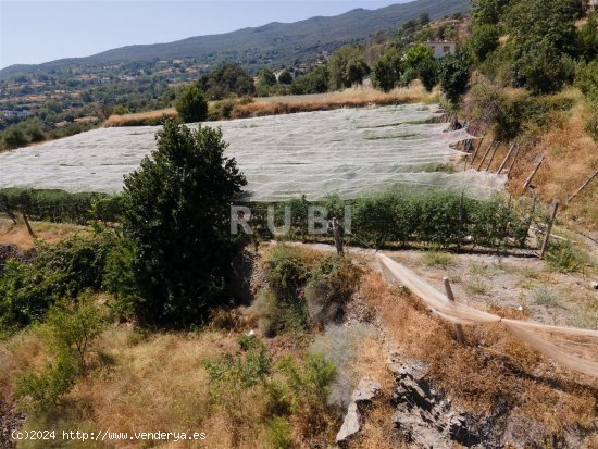 Finca en venta en Pórtugos (Granada)