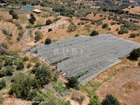 Finca en venta en Pórtugos (Granada)