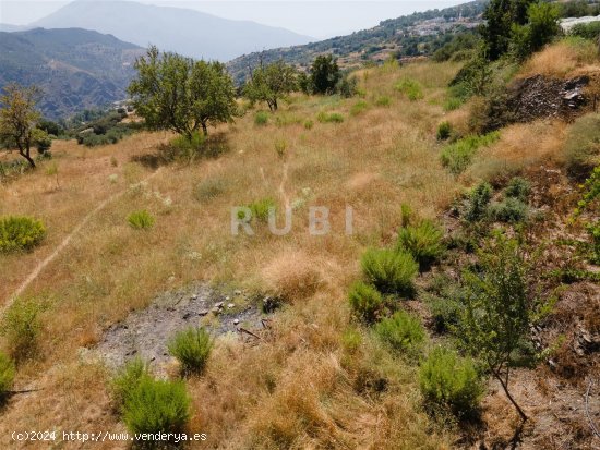 Finca en venta en Pórtugos (Granada)