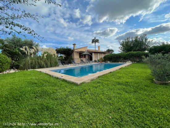  Finca en alquiler en Pollença (Baleares) 