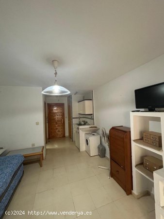 Estudio en alquiler en Granada (Granada)