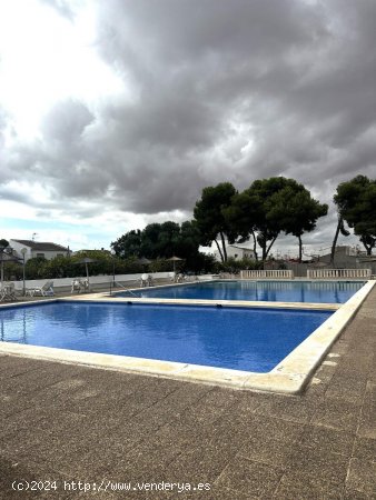  Casa en alquiler en Torrevieja (Alicante) 